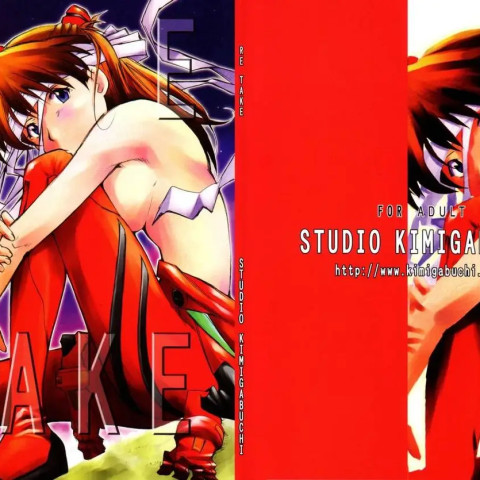Re-take (Neon Genesis Evangelion) - Page 1