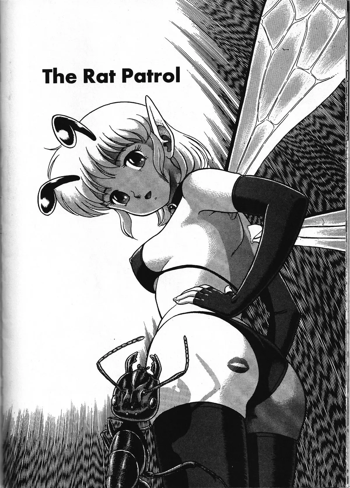The New Bondage Fairies 02 - Page 3