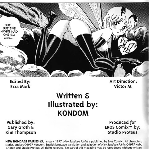 The New Bondage Fairies 03 - Page 2