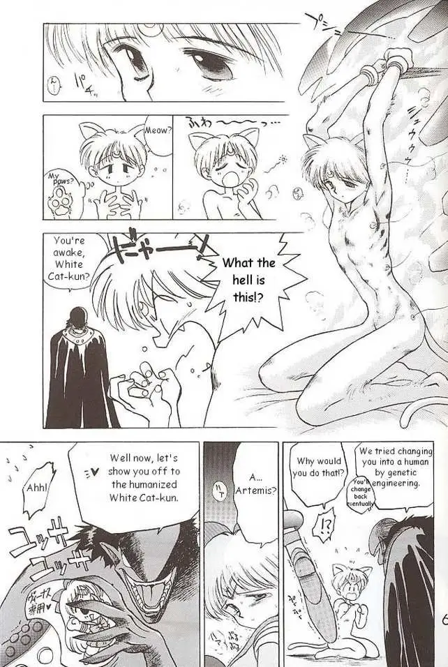 Submission Venus (Bishoujo Senshi Sailor Moon) - Page 31